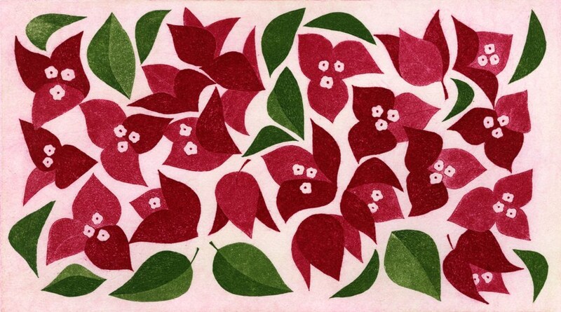 第百三十一話 立秋の花絵「ブーゲンビリア」