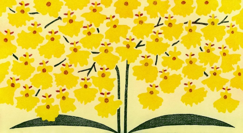 第百三十六話　小寒の花絵「オンシジウム」