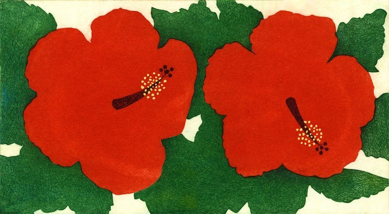 第百四十二話　大暑の花絵「ハイビスカス」