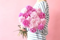 第二十四話　立夏の花あしらい「カーネーション」