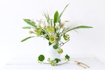 第十四話　小暑の花あしらい「クルクマ」