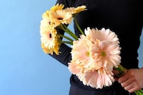 第四十七話　清明の花あしらい「ガーベラ」