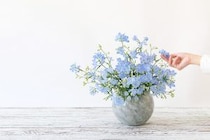 第二十三話　清明の花あしらい「デルフィニウム」