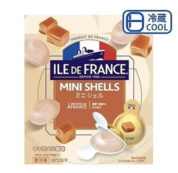 ILE DE FRANCE ミニ シェル キャラメル風味 20g×20個