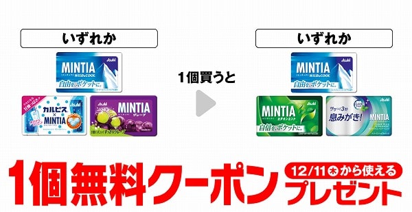 アサヒ　ミンティア　ワイルド＆クール/カルピス® ミンティア/ミンティア グレープ 