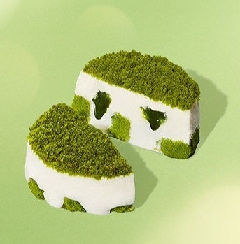 濃厚抹茶ティラミス