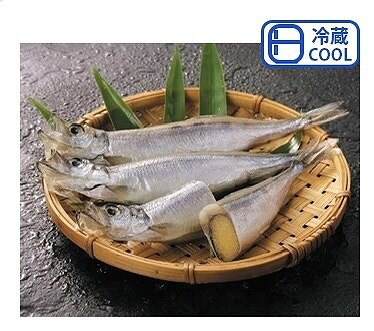 子持ちからふとししゃも1kg