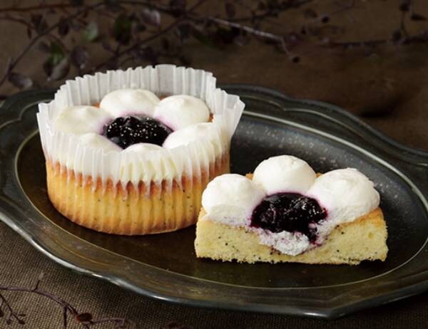 ポピーシード入り！しっとりブルーベリーケーキ