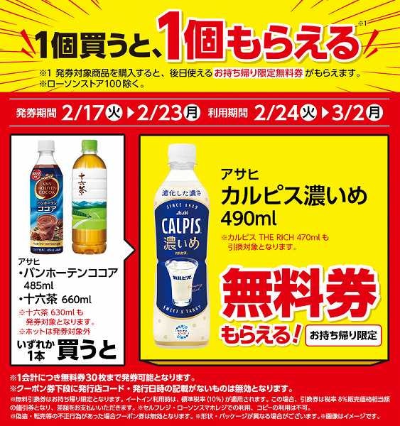 アサヒ　バンホーテンココア　485ml/アサヒ　十六茶　660ml