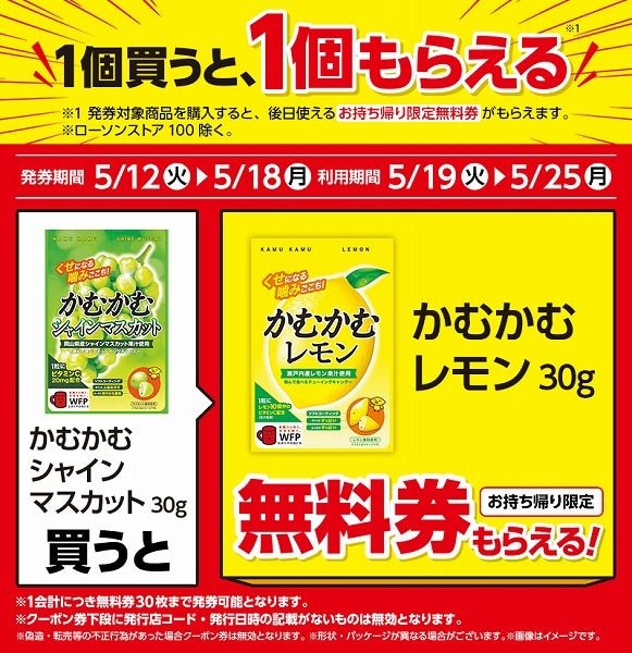 かむかむ　シャインマスカット　30g