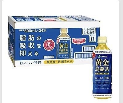 伊藤園　おいしいトクホ　黄金烏龍茶　ペットボトル　500ml×24本