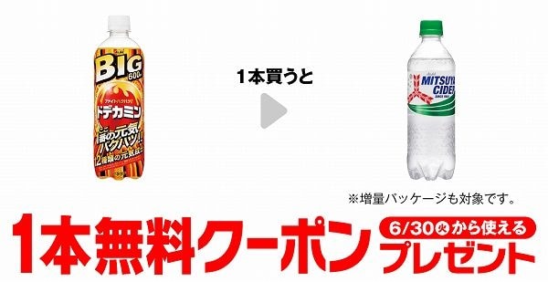 ドデカミンBIG 600ml 