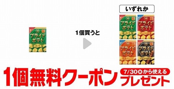 湖池屋 プライドポテト 神のり塩