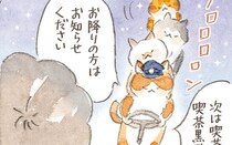 猫たちのバスごっこ。終点は不思議な喫茶店！／深夜のくろねこ喫茶(15)