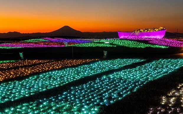 マザー牧場で「マザーイルミ」開催！東京湾、富士山のシルエットなど極上の景色とイルミネーションのコラボに感動