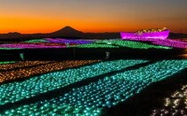 マザー牧場で「マザーイルミ」開催！東京湾、富士山のシルエットなど極上の景色とイルミネーションのコラボに感動