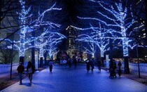 横浜・みなとみらいエリアを約25万球のイルミで彩る「ヨコハマミライト2025」。クリスマスマーケットの初開催も