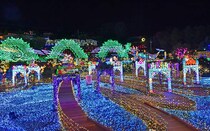 伊豆ぐらんぱる公園で、体験型イルミネーション「伊豆高原グランイルミ ～11th SEASON～」。巨大龍が空を舞う演出は圧巻