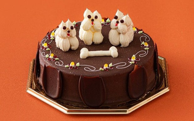 愛らしいテリア犬のケーキで誕生日のお祝いを/成城風月堂の「チョコのデコレーション」