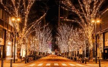 光り輝くシャンパンゴールド色のイルミネーション「丸の内イルミネーション 2025」過去最大級のクリスマスマーケットも開催