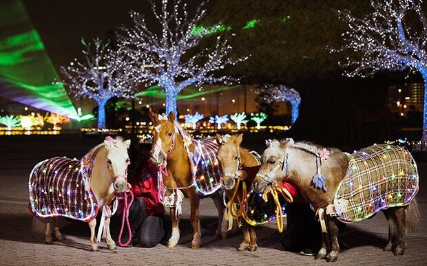 大井競馬場の「東京メガイルミ2025-2026」。RODYとのコラボや、和のイルミネーション、馬にまつわるイベントも