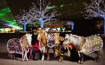 大井競馬場の「東京メガイルミ2025-2026」。RODYとのコラボや、和のイルミネーション、馬にまつわるイベントも