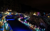 日本で最も富士山に近い大規模イルミネーション！御殿場高原 時之栖「ひかりのすみか」。約20mのツリーや噴水レーザーショーも