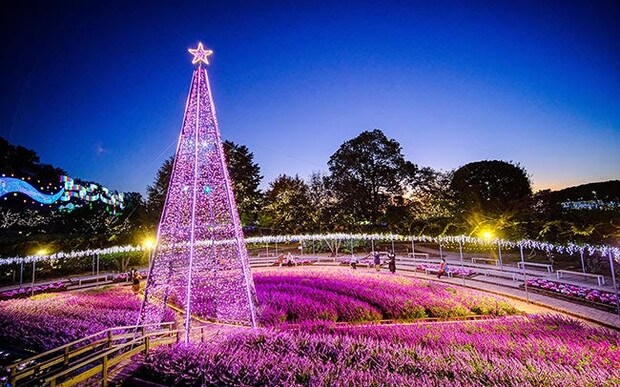 あしかがフラワーパークのイルミネーション「光の花の庭～Flower Fantasy2025-26」。今シーズンは香りの演出も