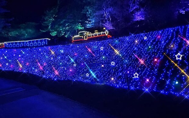 修善寺虹の郷「虹の郷イルミtheナイト2025」。伊豆最大級の体感型イルミネーション！7色に輝く光の滝やSL旅も