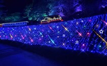 修善寺虹の郷「虹の郷イルミtheナイト2025」。伊豆最大級の体感型イルミネーション！7色に輝く光の滝やSL旅も