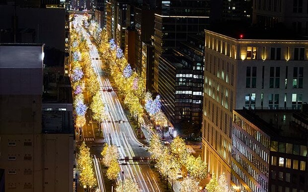 大阪の街を彩る大規模イルミネーション「大阪・光の饗宴2025」。大阪市中央公会堂のライトアップ、マルシェも