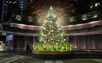 アークヒルズ「ARK Hills Christmas 2025」