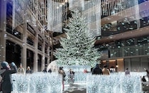 白銀の世界にトリップ!?丸の内「KITTE」でイマーシブなイルミデート＆おしゃれビストロで“幻の和牛”を味わう美食ディナー
