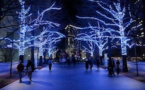 横浜最大級イルミイベントでロマンティックな夜散歩。ブルーに輝く「ヨコハマミライト」デート＆シアター席の絶景ディナー