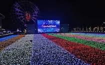 東武動物公園「ウインターイルミネーション2025-2026」。光のスペシャルショーや「カラフルピーチ」とのコラボイベントも