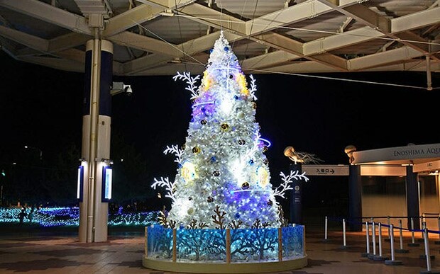 新江ノ島水族館「えのすいクリスマス」。サンゴをイメージしたホワイトツリー、35種の生き物を紹介するアドベントカレンダーも