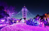 江の島・片瀬海岸エリアのイルミネーション「湘南の宝石」。光の大空間と富士山のシルエットの感動的な共演も！