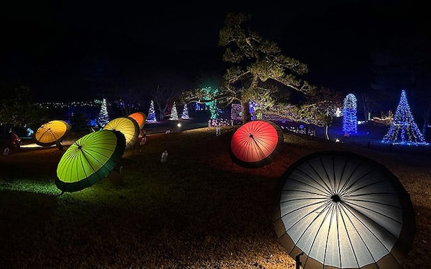 山中湖 花の都公園「2025イルミネーションファンタジウム」開催!ライトアップ前には、ダイヤモンド富士の鑑賞も