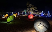 山中湖 花の都公園「2025イルミネーションファンタジウム」開催！ライトアップ前には、ダイヤモンド富士の鑑賞も