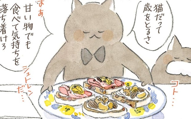 猫は歳をとっても可愛くっていいわね、と年齢の変化に悩む女性に、猫がアドバイスをくれて…？／深夜3時のくろねこ喫茶2(2)