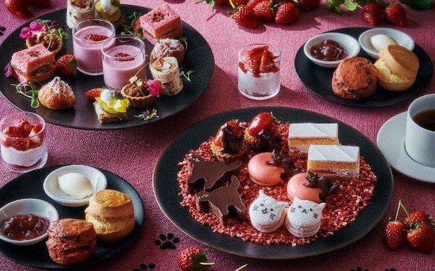 猫の形のチョコケーキやマカロンがかわいすぎる！グランド ハイアット 東京の「ストロベリー＆キャット アフタヌーンティー」