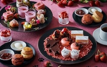 猫の形のチョコケーキやマカロンがかわいすぎる！グランド ハイアット 東京の「ストロベリー＆キャット アフタヌーンティー」
