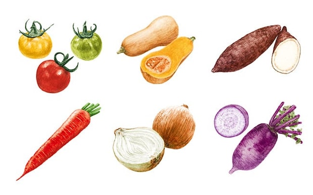 はじめましてのやさいカタログ