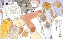 家で眠ったはずが猫に囲まれていた!?　焼きりんごの甘ずっぱさを思い出す夜／深夜のくろねこ喫茶(14)