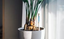 植物育成の手助けに！タイプ別おすすめアイテム