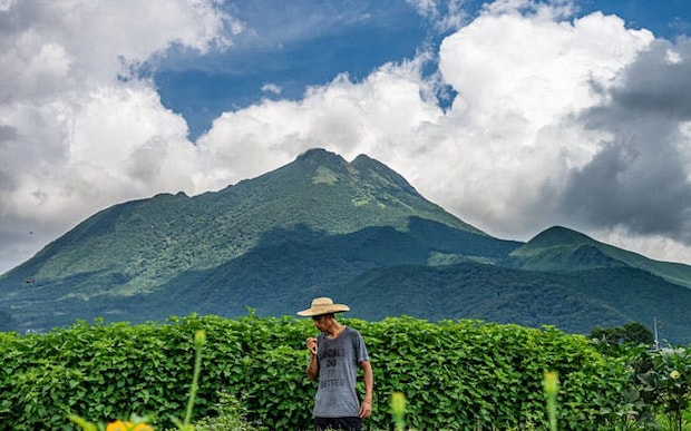 まだ知らない野菜が由布院にある
