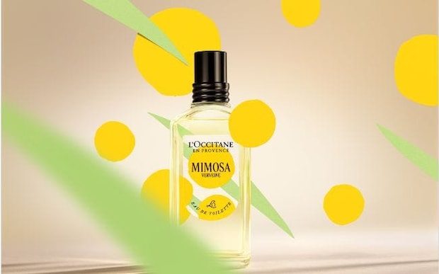 新しい季節の始まりに、ミモザの光を！L’OCCITANEから、ミモザシリーズが限定発売