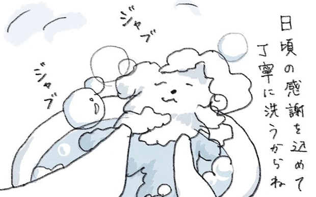 3歳のころからずっと一緒に過ごしてきたぬいぐるみ。大切にお手入れして心がぽかぽかです／ときどき丁寧に暮らしたい（3）