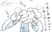 3歳のころからずっと一緒に過ごしてきたぬいぐるみ。大切にお手入れして心がぽかぽかです／ときどき丁寧に暮らしたい（3）