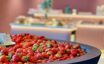 ウェスティンホテル横浜「恋するいちごビュッフェ」を体験。圧巻の“いちごボウル”や魅惑のデザートルームに心ときめく